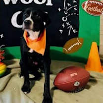 Thumbnail photo of Christmas #2