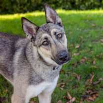 Thumbnail photo of Sonia #1