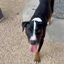 Thumbnail photo of Hulu #3