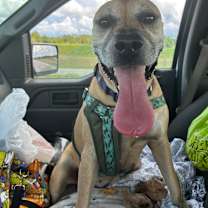 Thumbnail photo of Dee #4