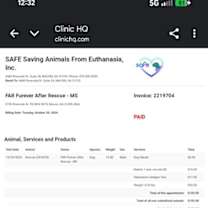 Thumbnail photo of Roscoe #2