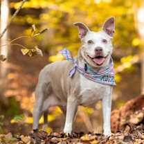 Thumbnail photo of Doris aka Dora #1