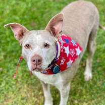 Thumbnail photo of Doris aka Dora #2