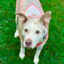 Thumbnail photo of Doris aka Dora #4