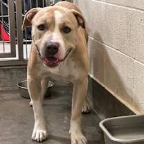 Thumbnail photo of Grady #4