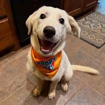 Thumbnail photo of Madison #2