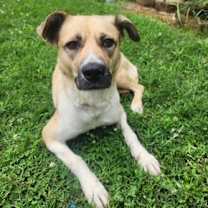 Thumbnail photo of Summer #4