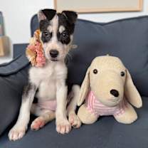 Thumbnail photo of Kanga LaPorte #2