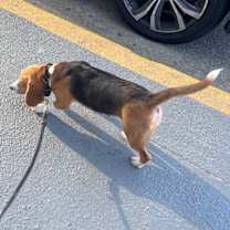 Thumbnail photo of Mary Ann #3