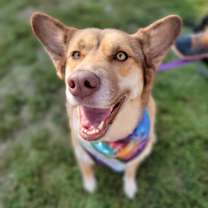 Thumbnail photo of Mocha #2