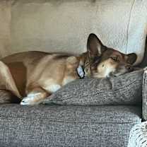 Thumbnail photo of Mocha #4