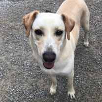 Thumbnail photo of Carter #2