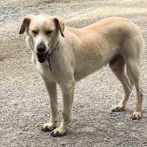 Thumbnail photo of Carter #3