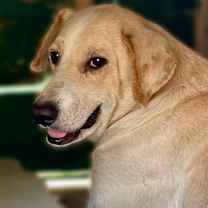 Thumbnail photo of Carter #4