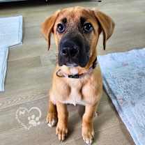 Thumbnail photo of Pearl #2