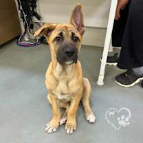 Thumbnail photo of Mond #2