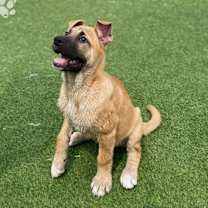 Thumbnail photo of Mond #3