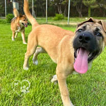 Thumbnail photo of Mond #4