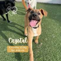 Thumbnail photo of Crystal #1