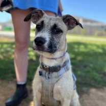 Thumbnail photo of Sunray #2