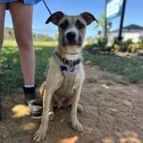 Thumbnail photo of Sunray #4