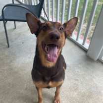 Thumbnail photo of Wanda #3