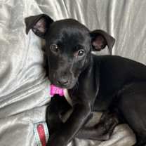 Thumbnail photo of Uno #3