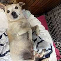 Thumbnail photo of Tofu #1