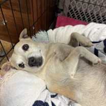 Thumbnail photo of Tofu #2