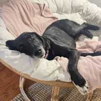 Thumbnail photo of Cameron #4