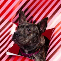 Thumbnail photo of Jam #1