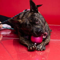 Thumbnail photo of Jam #2