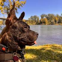 Thumbnail photo of Jam #3