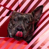 Thumbnail photo of Jam #4