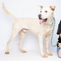 Thumbnail photo of Wagner #2