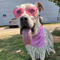 Thumbnail photo of Wagner #4