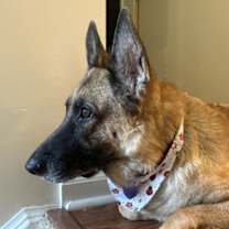 Thumbnail photo of Iridessa #2