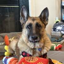 Thumbnail photo of Iridessa #4