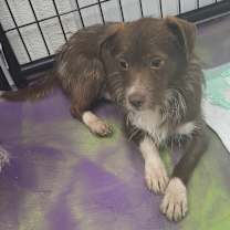 Thumbnail photo of Ridge #1