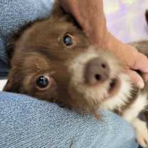 Thumbnail photo of Ridge #4