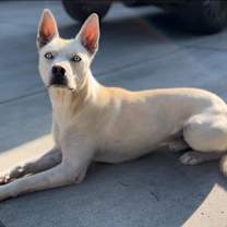 Thumbnail photo of Pedro #2