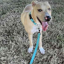 Thumbnail photo of Atlas #2