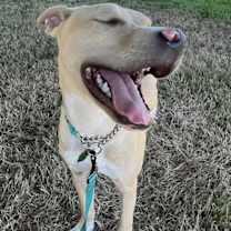 Thumbnail photo of Atlas #3