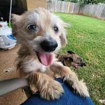 Thumbnail photo of Chance #1