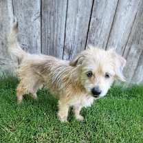 Thumbnail photo of Chance #3