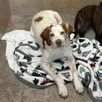 Thumbnail photo of Charlie  #2