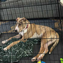 Thumbnail photo of Wilson #3