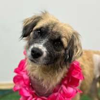 Thumbnail photo of Grace #1