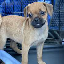 Thumbnail photo of Markee #2