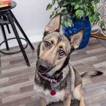 Thumbnail photo of Sonia #3